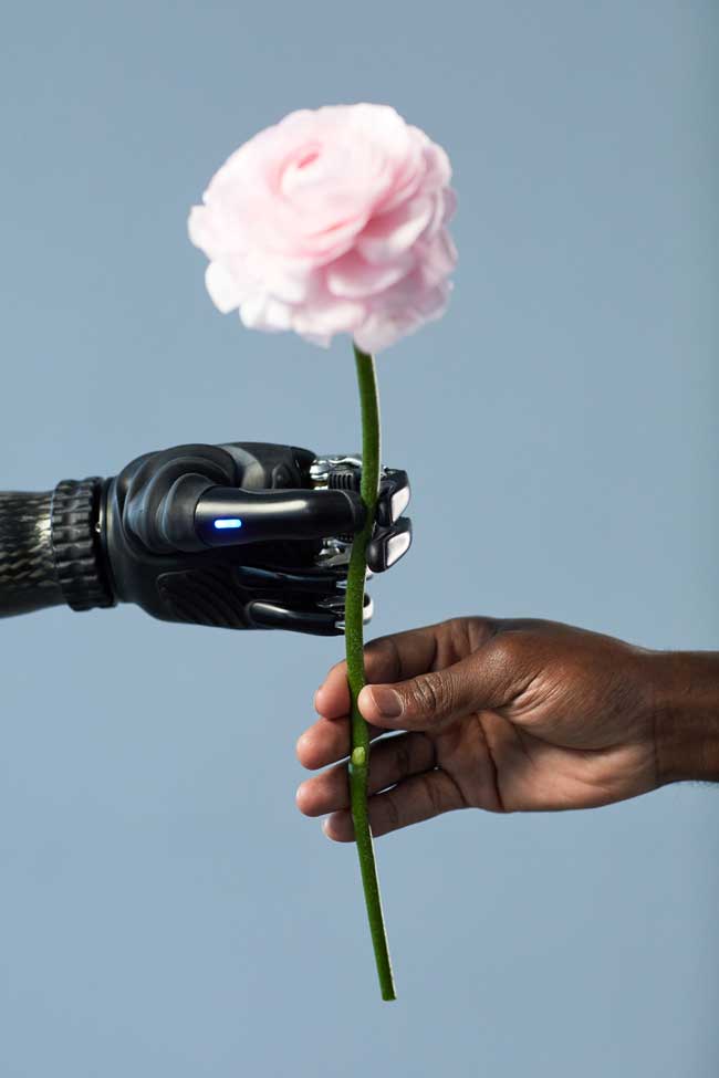 robot and human hands holding a flower